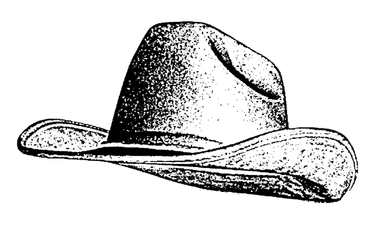 Black and white rendering of a cowboy hat.